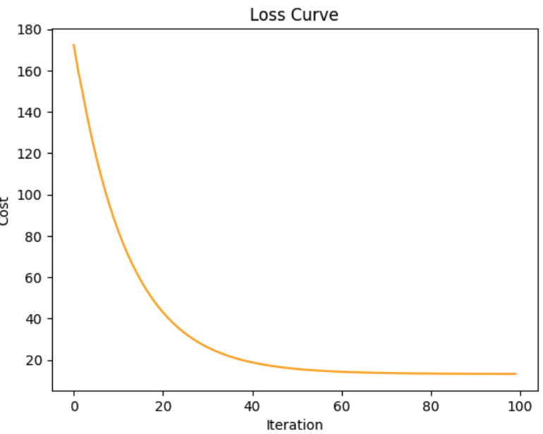 Loss Curve